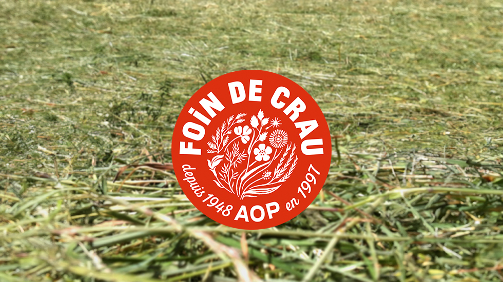 foin de crau 2024